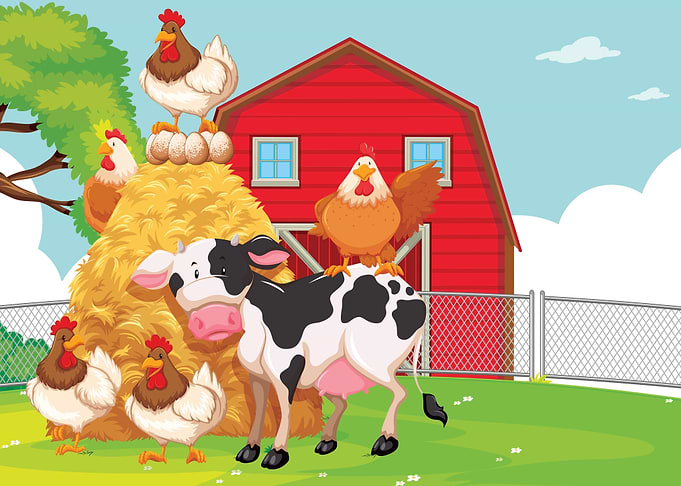 Farm
