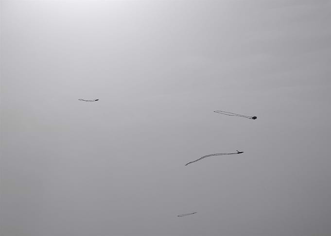 Minimal kites in the sky