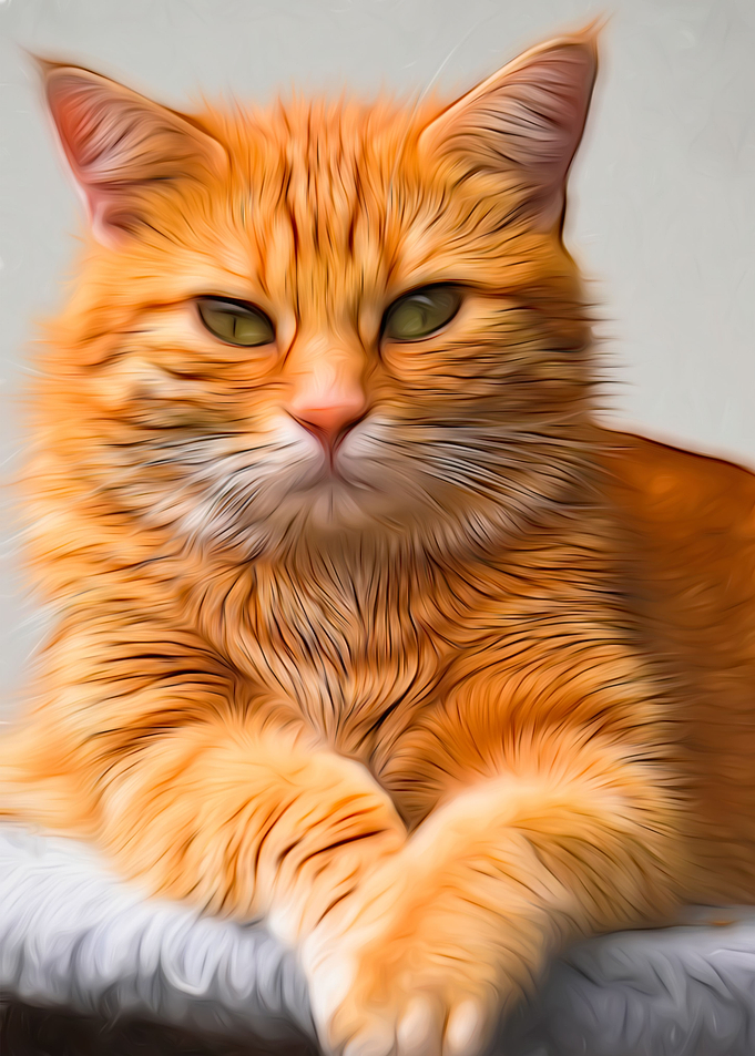 Orange