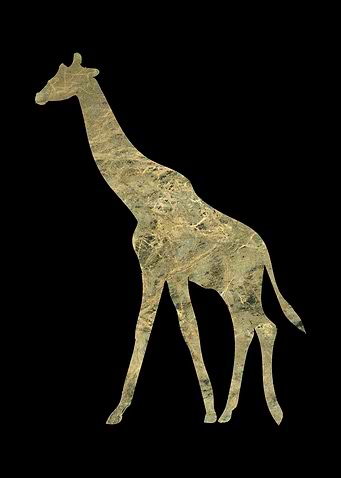 Tierisch gut Giraffe