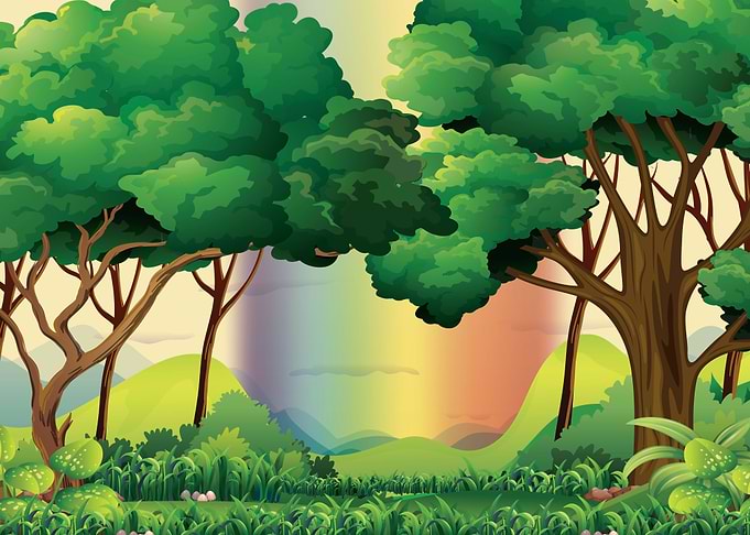 Forest Landscape