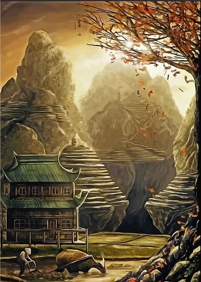 nature landscape