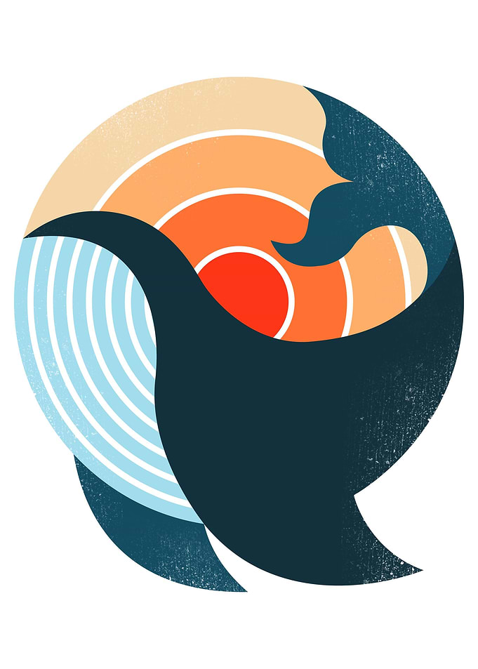A Whale Sunset