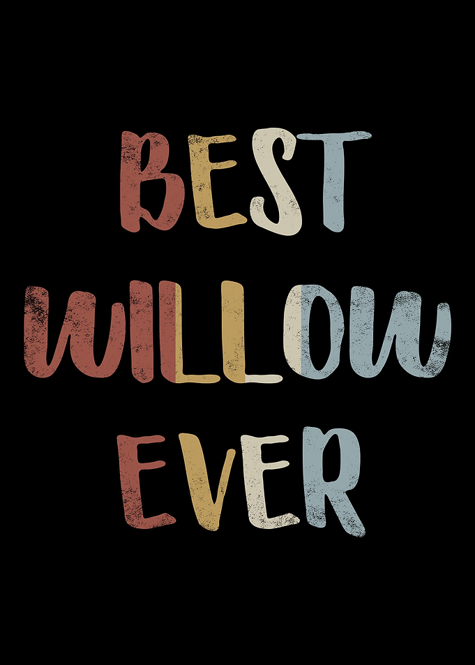 Best Willow Ever