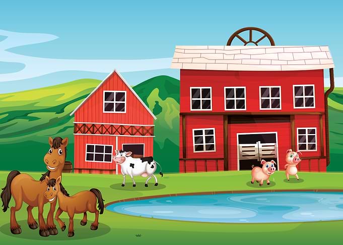 Farm