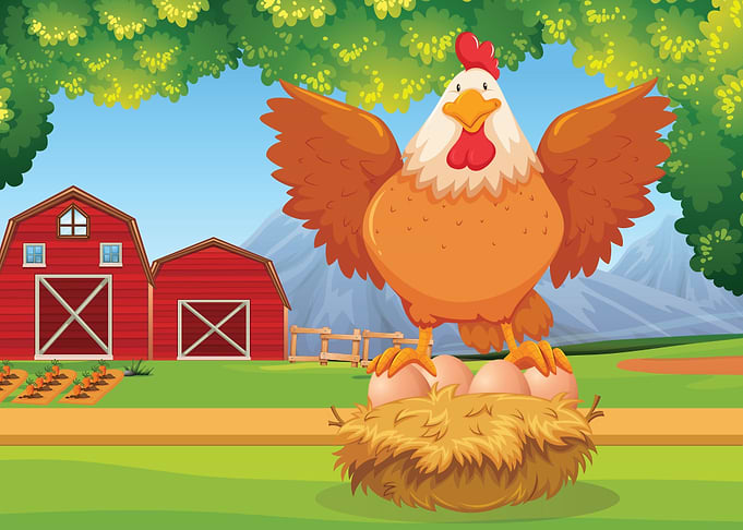 Farm