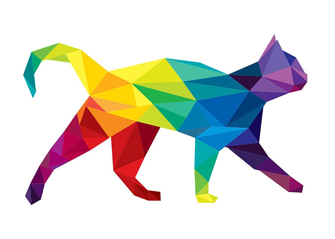 Colorful Cat Polygon