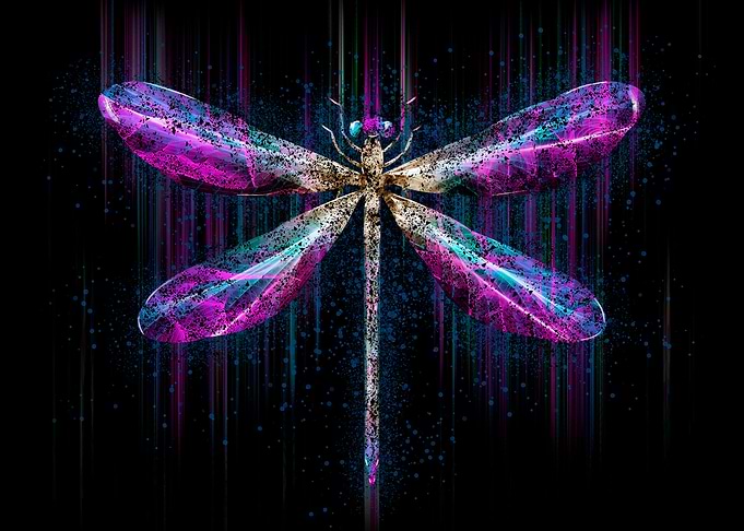 Dragonfly at night