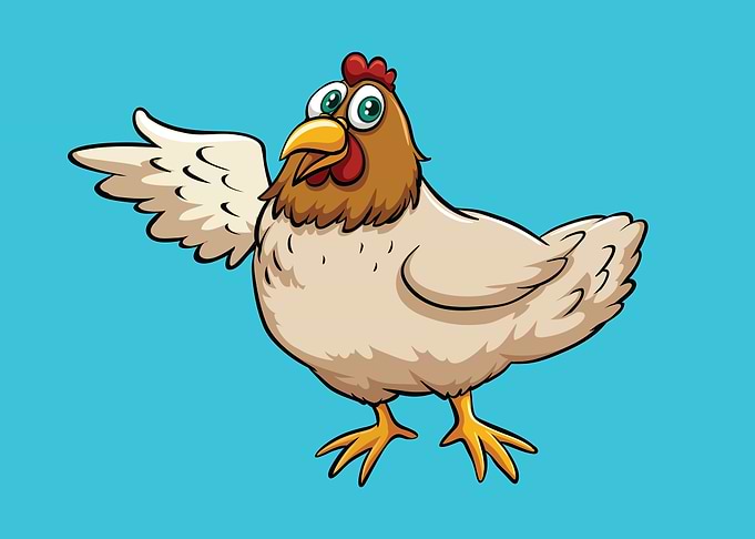 Chicken