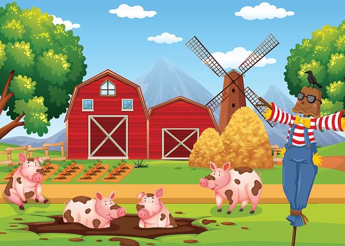 Farm