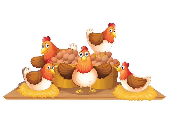 Chicken