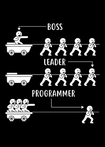 Programmer Developer Coder