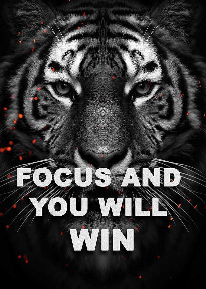 wild tiger Motivation