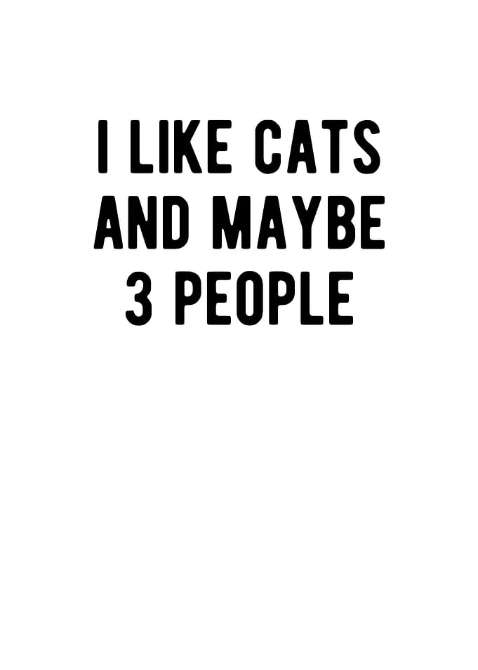 I Like Cats And Maybe 3