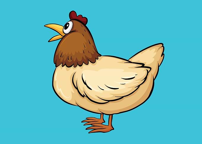 Chicken