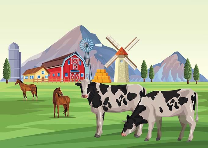 Farm