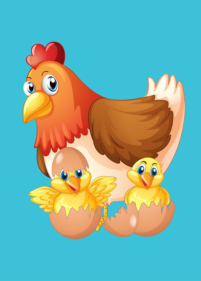 Chicken