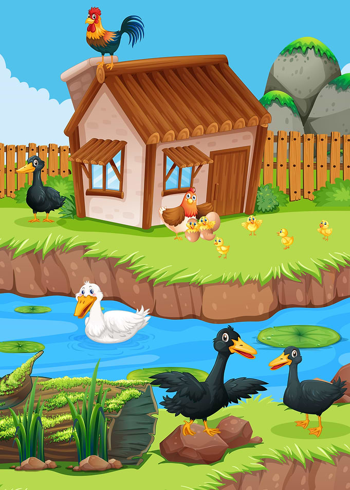 Farm