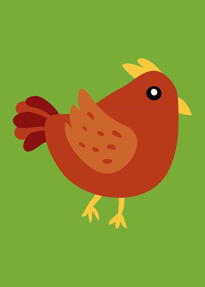 Chicken
