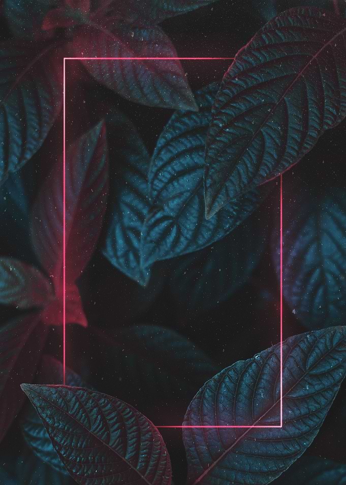 Leaves with LED frame