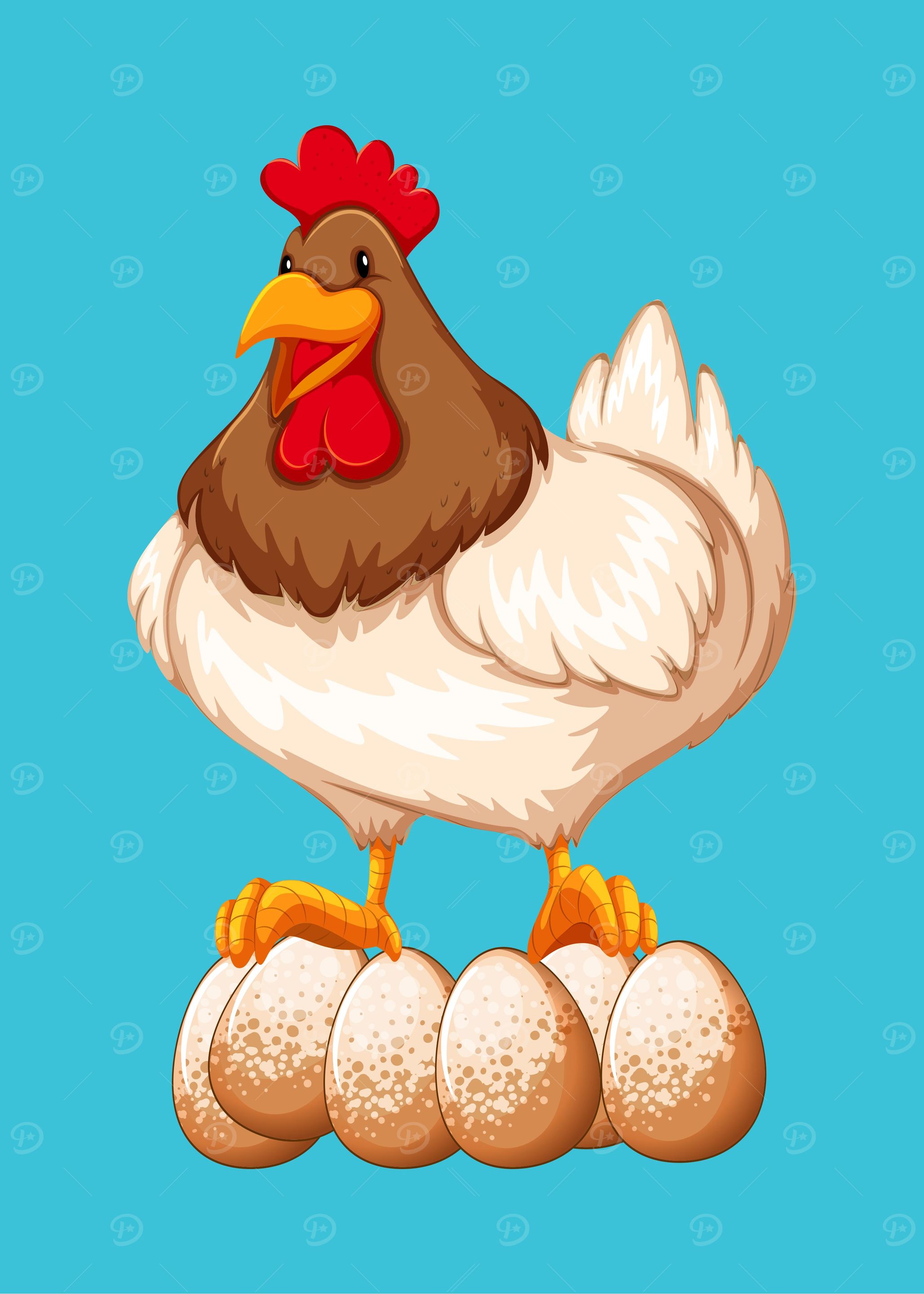 Chicken