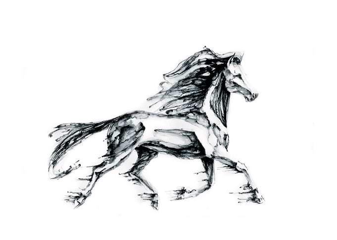 Wind Horse