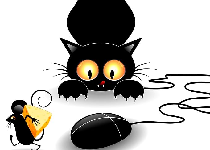 Black Cat