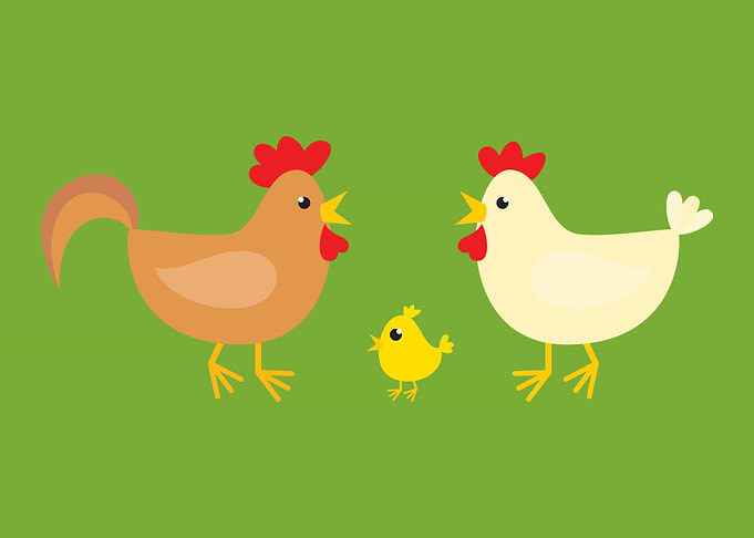 Chicken