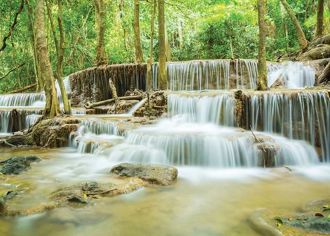 Nature Landscape