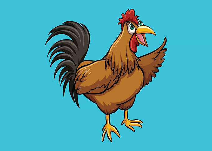 Chicken
