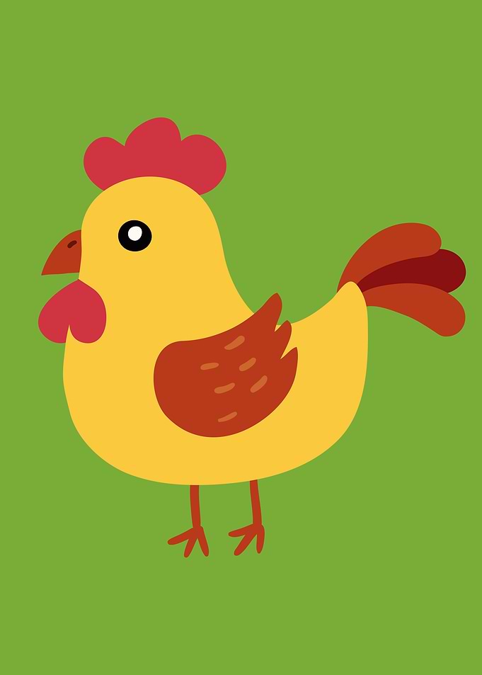 Chicken