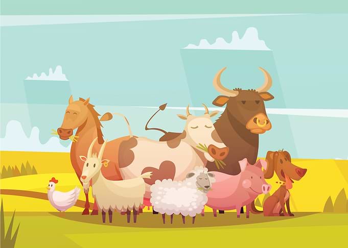 Farm