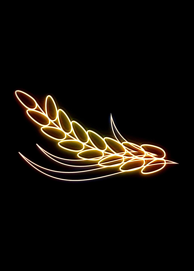 rice food neon