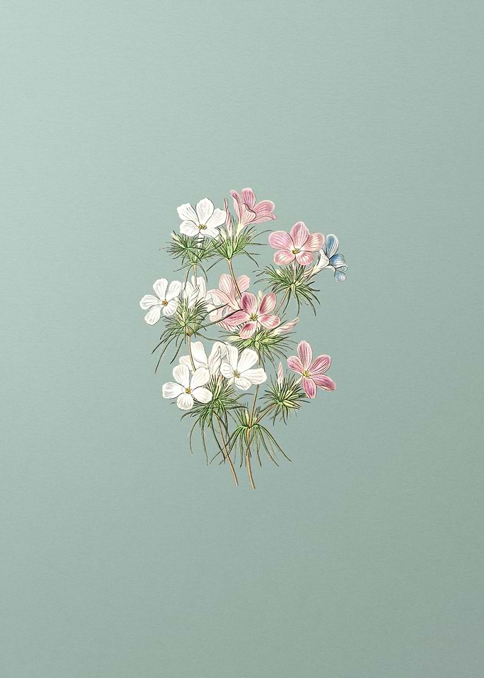 Thick Flower Slender Tube