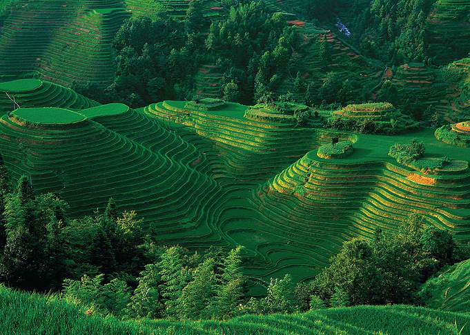 Nature Landscape