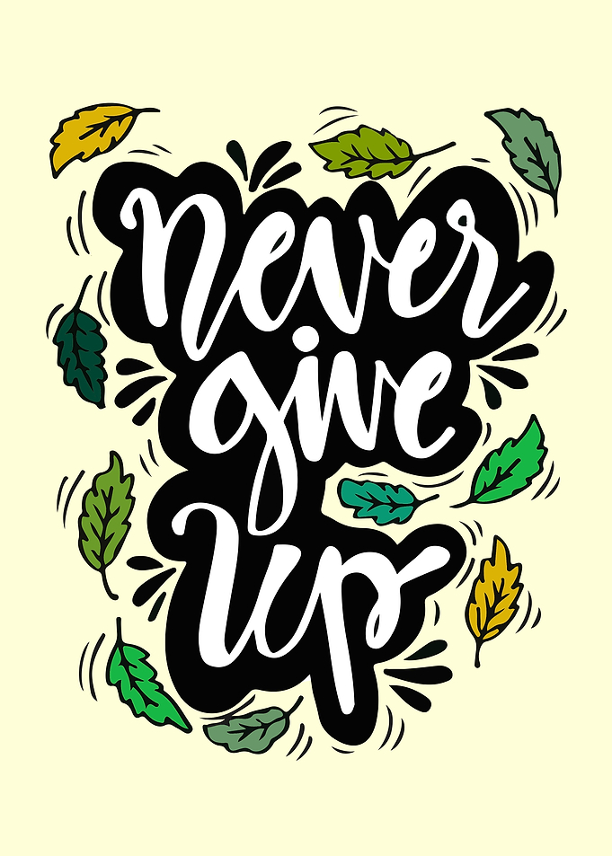 Never Give Up