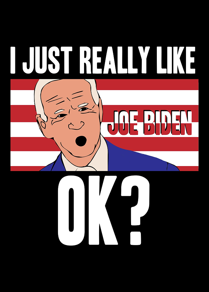 Joe Biden President USA