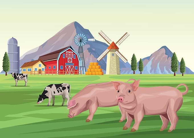 Farm