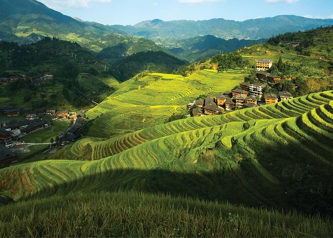 Nature Landscape