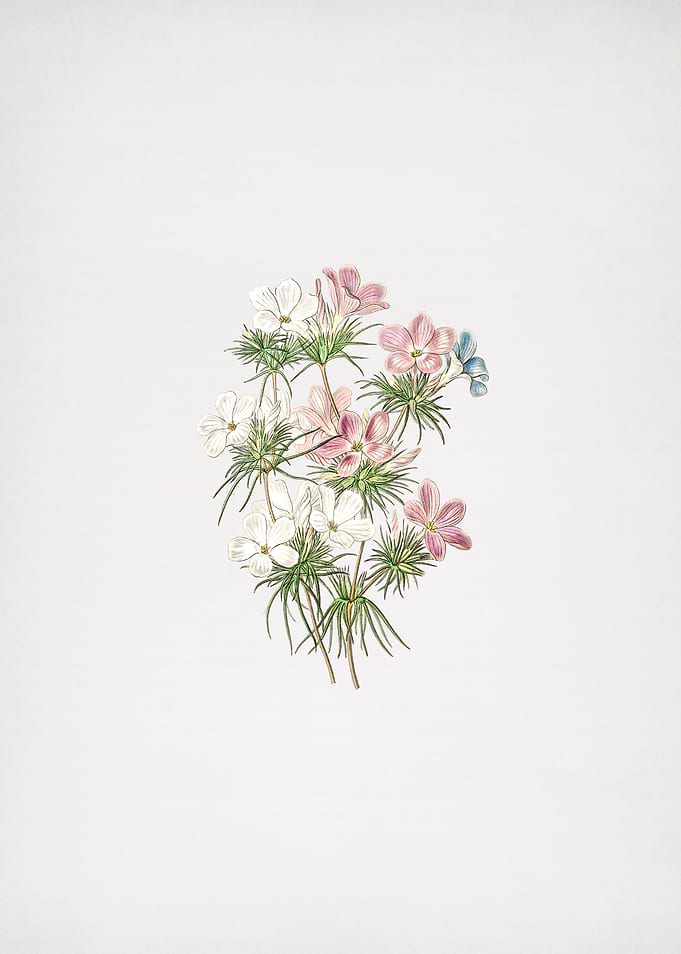 Thick Flower Slender Tube