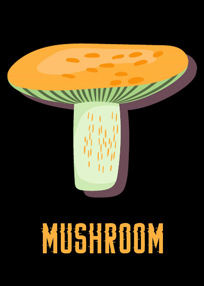 mushroom 12