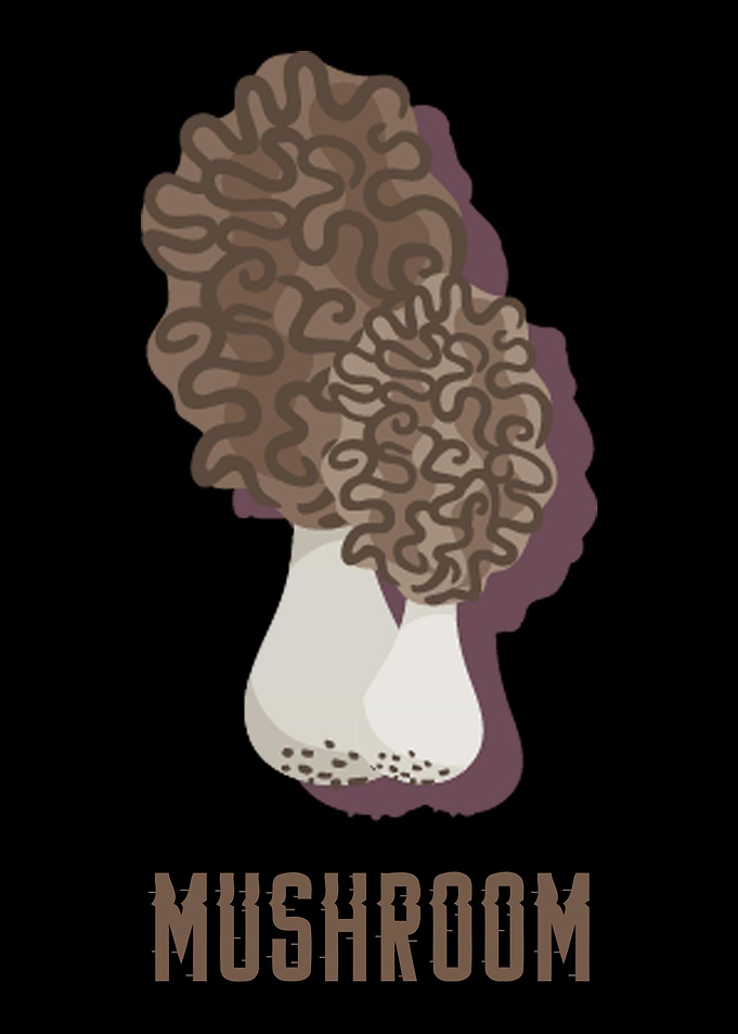 mushroom 16