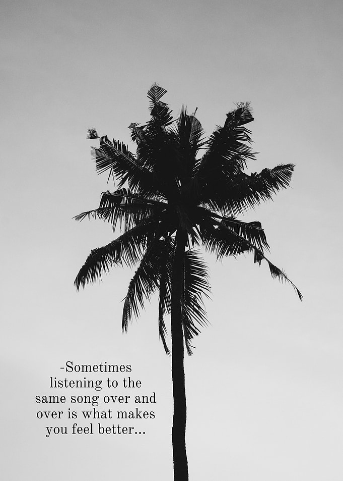 Palm tree