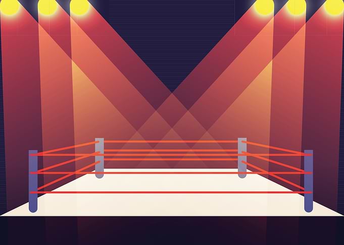 Boxing Sport Vol 25
