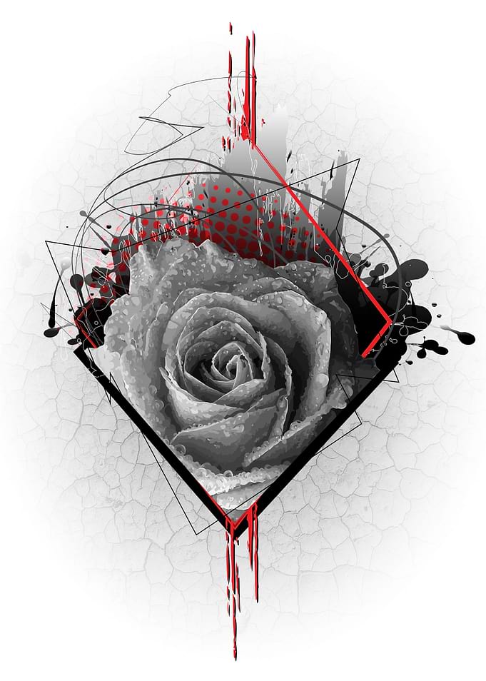 Rose Trash Polka