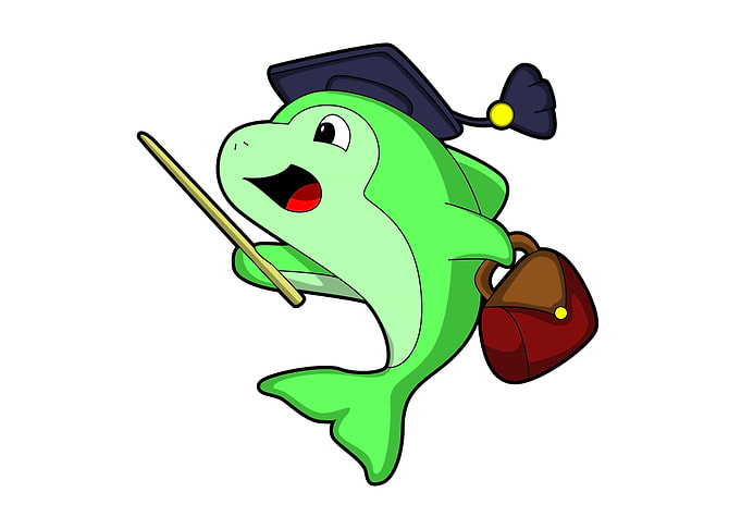 Dolphin Hat Pointer