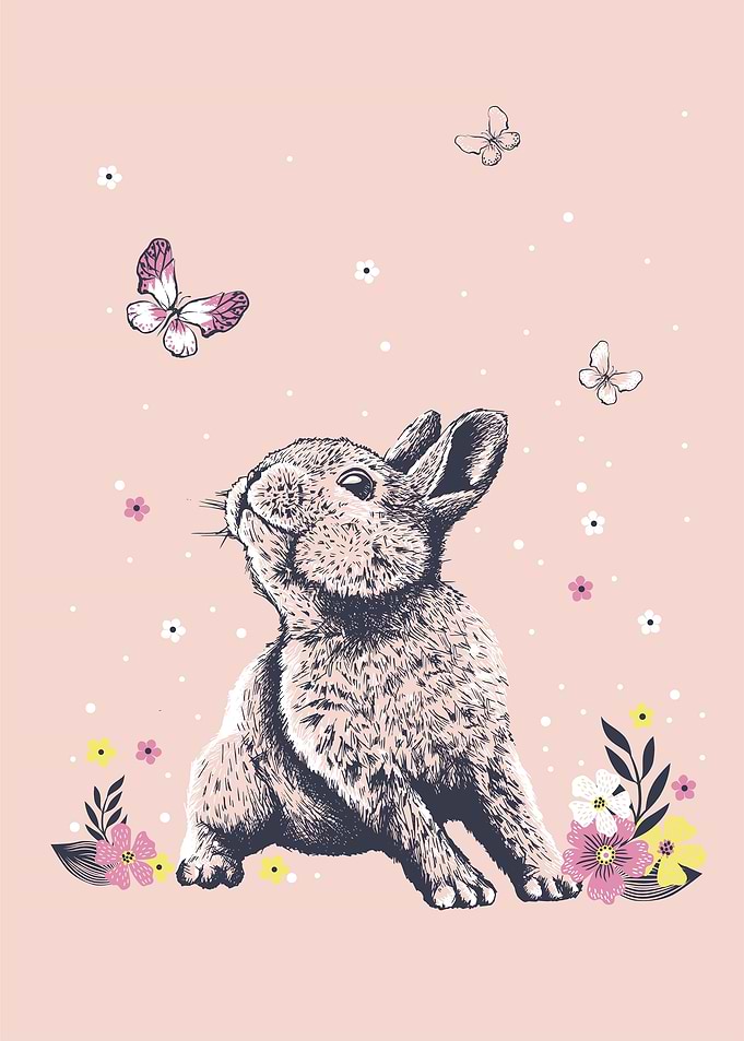 Cute bunny