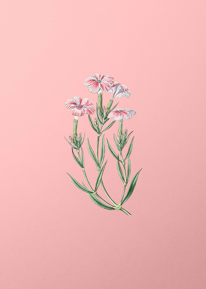 Vintage Tree Pink on Pink