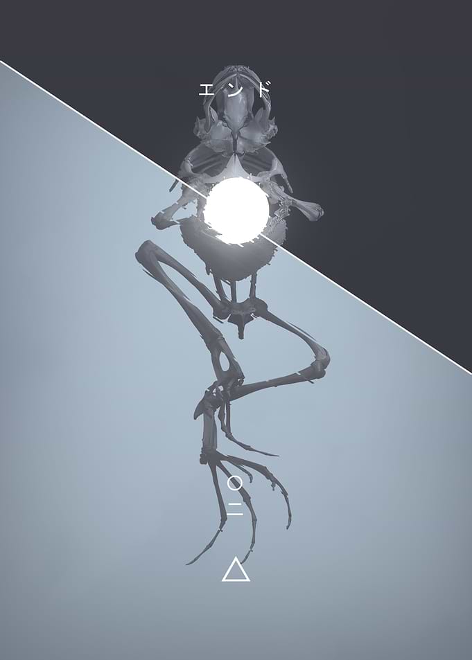 Endo 002