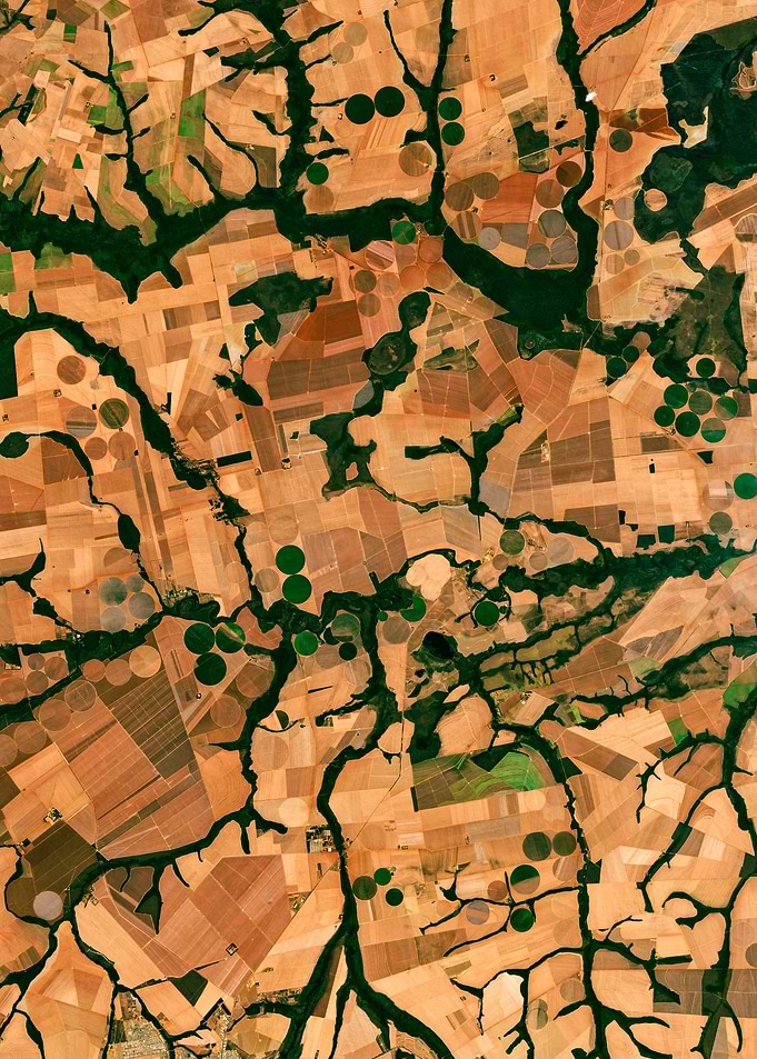 Soy farms in Brazil